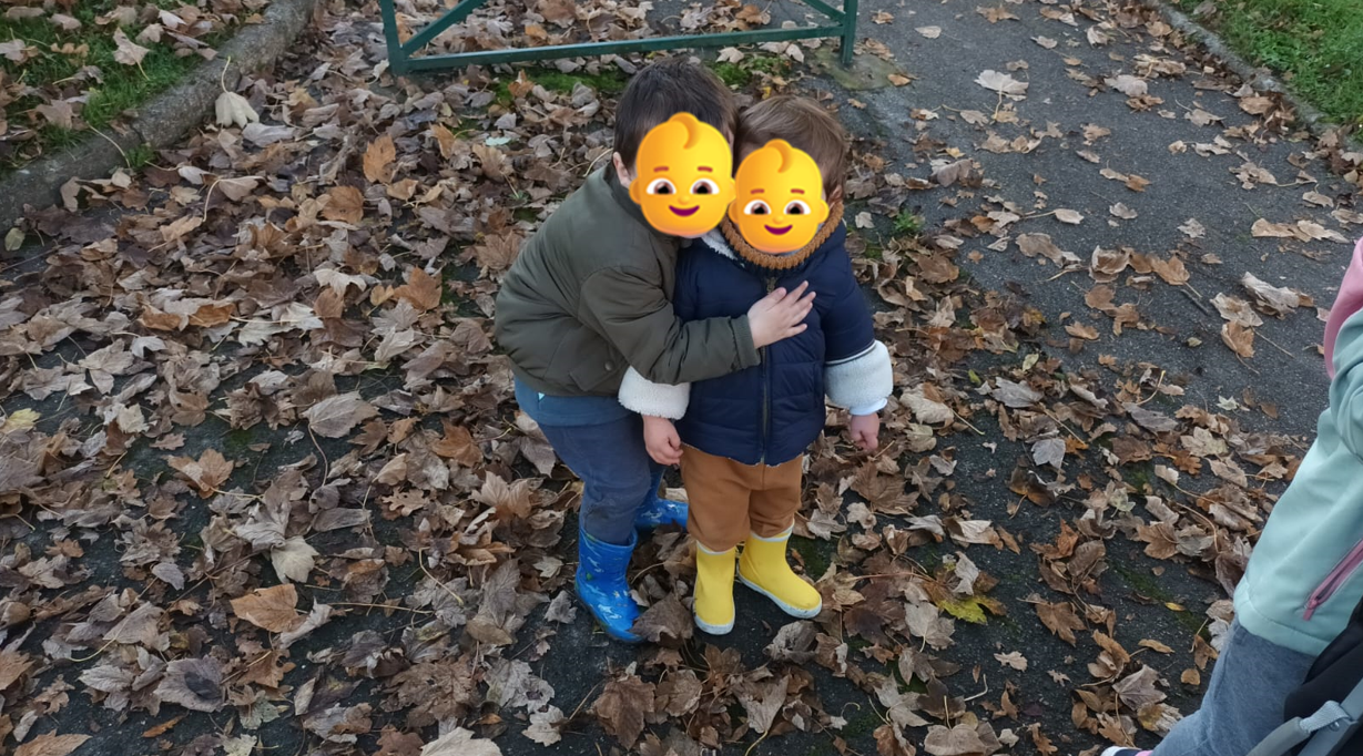 Recherche châtaignes 1