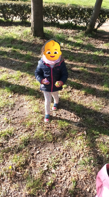 Chasse aux œufs 4